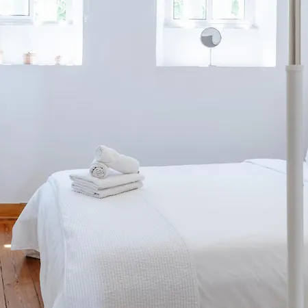 Pena In Arroios, By Mycelia *