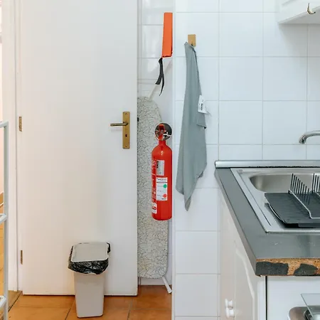 Pena In Arroios, By Mycelia