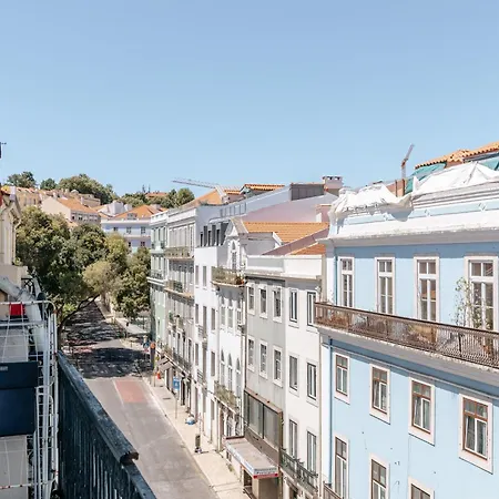 Pena In Arroios, By Mycelia Lisboa